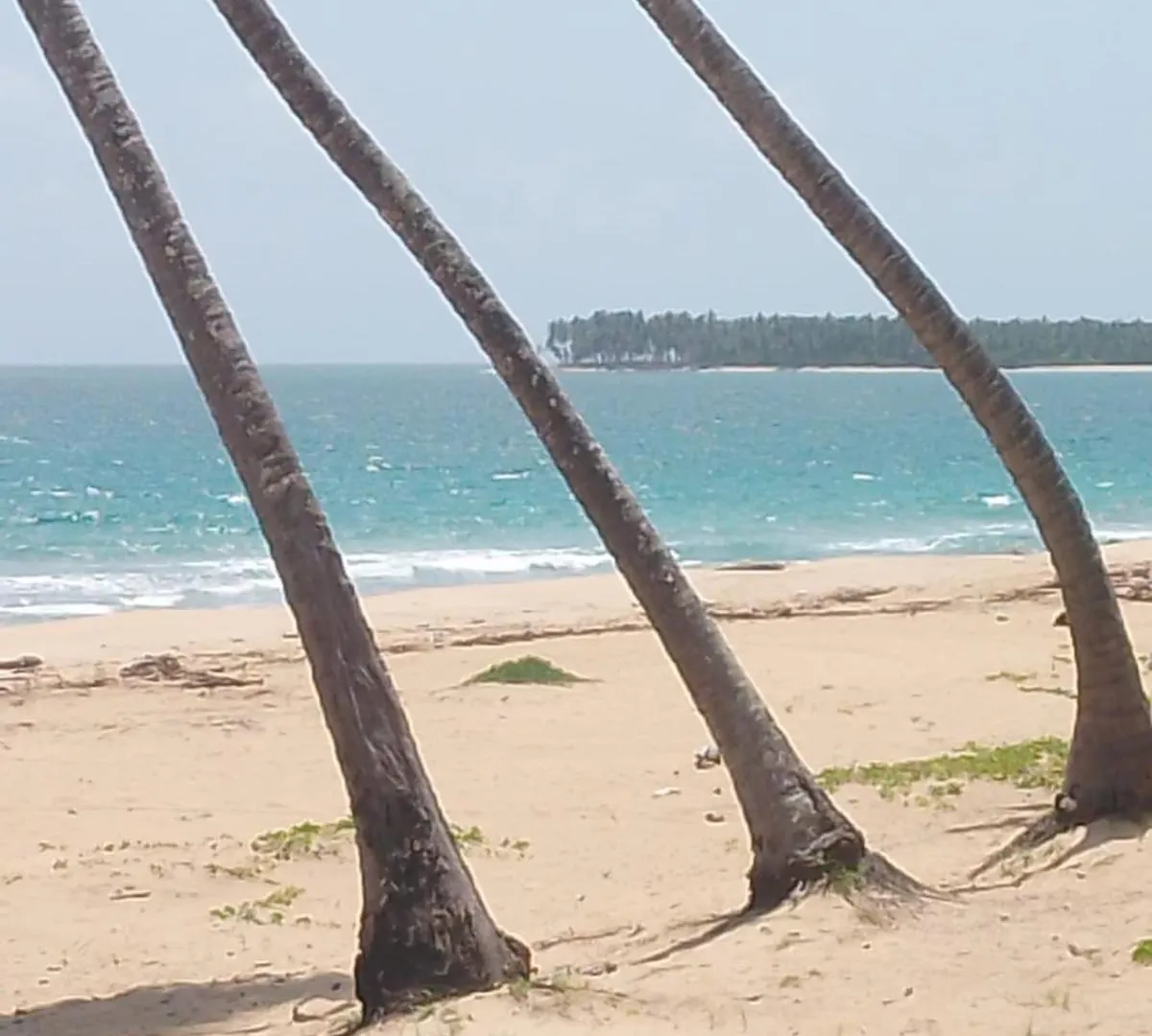Punta Cana Life 0*, プンタ・カナ