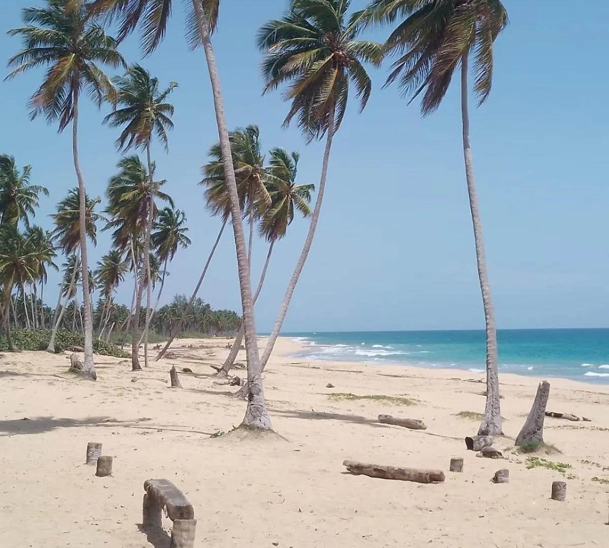 Punta Cana Life キャンプ場
